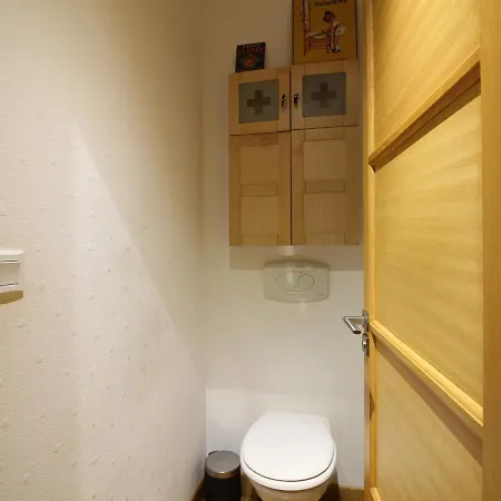 Splendide T3 A La Bourboule, Proche Parc Fenestre Et Thermes - Fr-1-608-239 Apartment La Bourboule